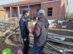 河南淮滨：公安民警“破案” 追回被盗羊