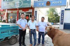 河南淮滨：民警助失主找回小黄牛 获感谢